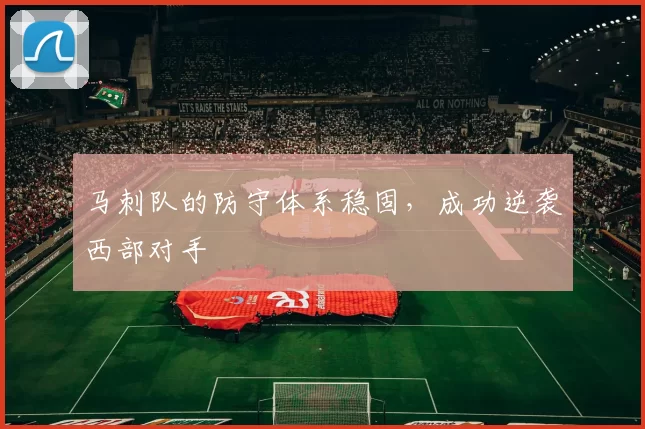 马刺队的防守体系稳固，成功逆袭西部对手