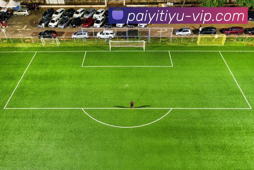 派亿体育VIP发展历程